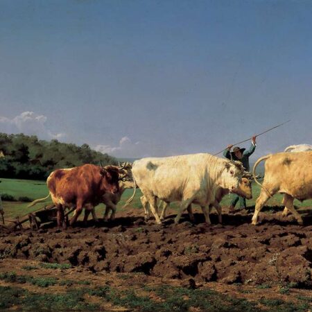 Arando no Nivernais – Rosa Bonheur Rosa Bonheur Master Apollon