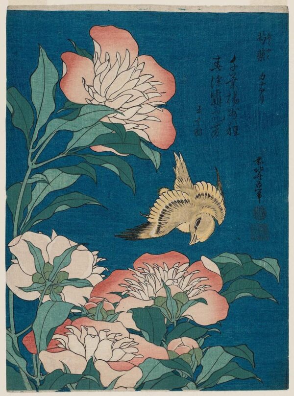 Hokusai: Pivoines e Canário (Shakuyaku, Kanaari), de uma série sem título conhecida como Pequenas Flores – Katsushika Hokusai Katsushika Hokusai Master Apollon