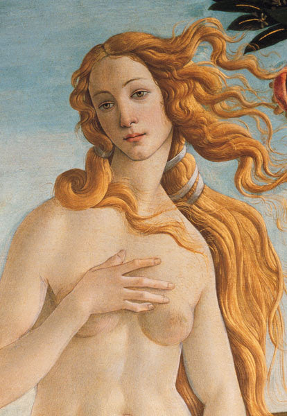 A nascente de Vênus (detalhe) – Sandro Botticelli Quadros Populares Master Apollon