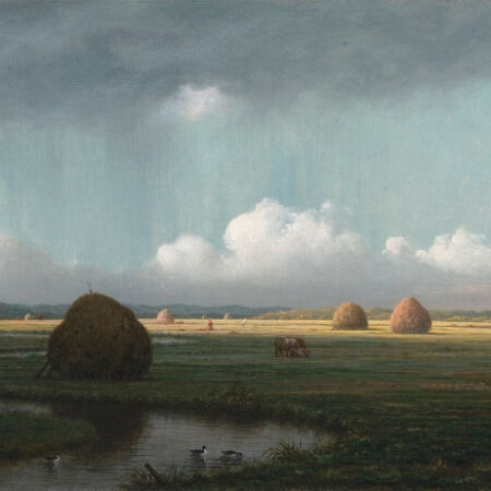 Averses soudaines, marais de Newbury – Martin Johnson Heade Martin Johnson Heade Master Apollon