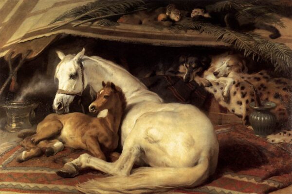 A tenda árabe – Edwin Landseer Edwin Landseer Master Apollon