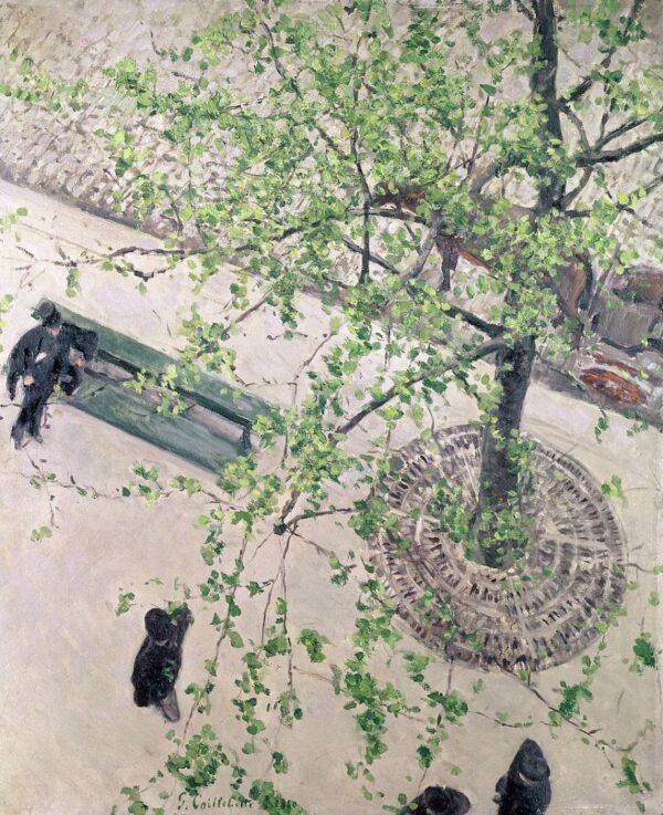 Gustave Caillebotte: Boulevard visto de cima – Caillebotte Gustave Caillebotte Master Apollon