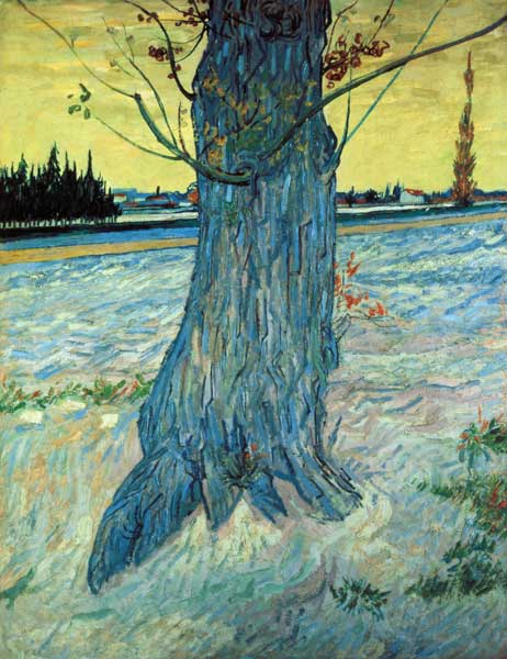 A árvore – Van Gogh Vincent Van Gogh Master Apollon