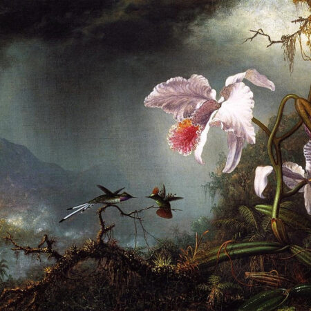 Dois beija-flores em combate com duas orquídeas – Martin Johnson Heade Martin Johnson Heade Master Apollon