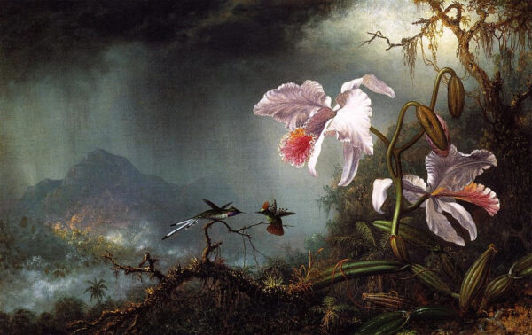 Dois beija-flores em combate com duas orquídeas – Martin Johnson Heade Martin Johnson Heade Master Apollon