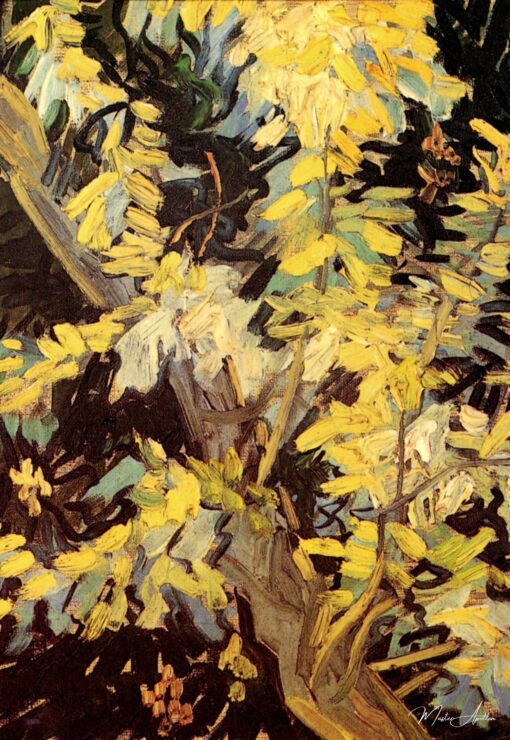 Acácias florescendo – Van Gogh Vincent Van Gogh Master Apollon 2