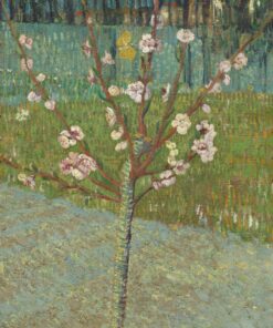Amandier em flor – Van Gogh Vincent Van Gogh Master Apollon
