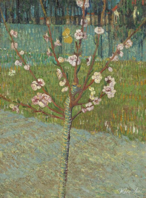 Amandier em flor – Van Gogh Vincent Van Gogh Master Apollon 2