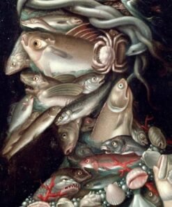 Amiral – Arcimboldo Giuseppe Arcimboldo Master Apollon