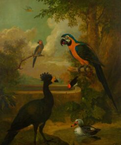 Araras e outros pássaros em uma paisagem – Tobias Stranover Tobias Stranover Master Apollon
