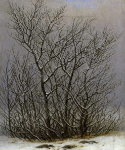 Árvores e arbustos sob a neve – Caspar David Friedrich Caspar David Friedrich Master Apollon