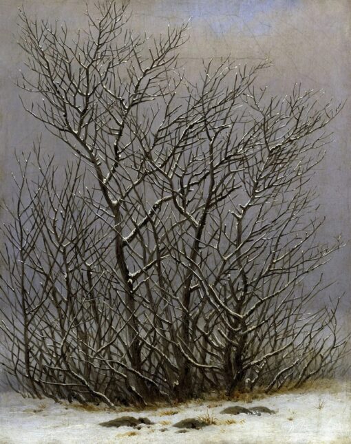 Árvores e arbustos sob a neve – Caspar David Friedrich Caspar David Friedrich Master Apollon 2