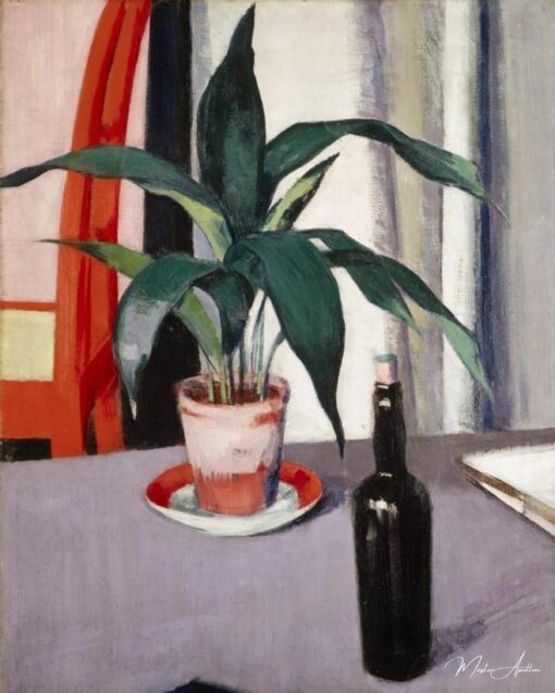 Aspidistra e garrafa na mesa – Francis Cadell Francis Cadell Master Apollon 2