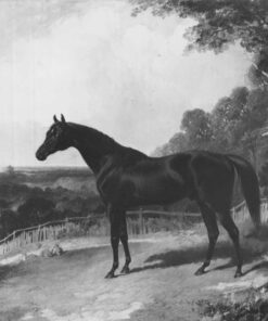 Bagdá – John Frederick Herring Snr John Frederick Herring Sr Master Apollon