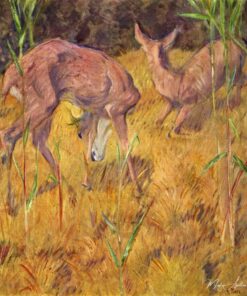 Bichos nos Juncos – Franz Marc Franz Marc Master Apollon