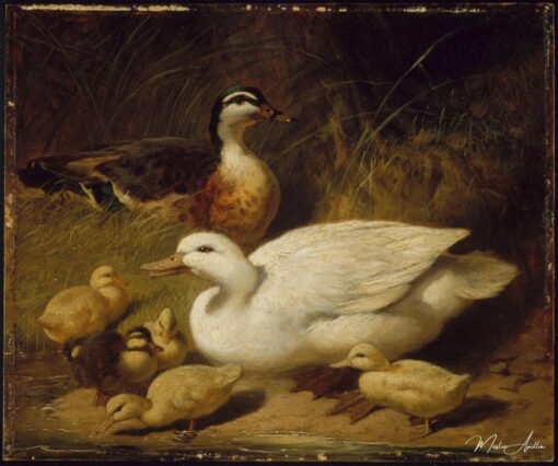 Patos e patinhos – John Frederick Herring Snr John Frederick Herring Sr Master Apollon