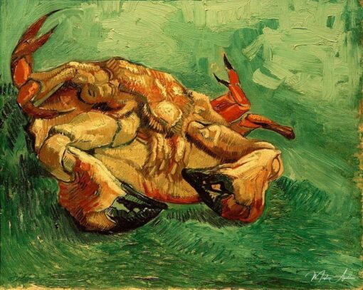 Câncer deitado de costas – Van Gogh Vincent Van Gogh Master Apollon