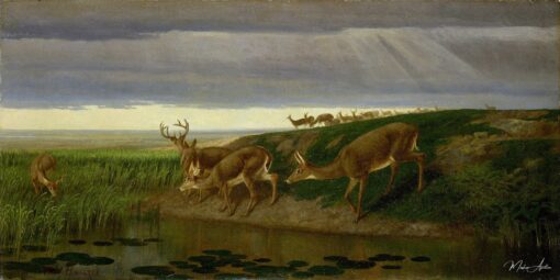 Cervo na pradaria, 1884 – William Holbrook Beard William Holbrook Beard Master Apollon