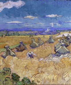 Campo de trigo 1890 – Van Gogh Vincent Van Gogh Master Apollon