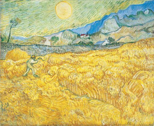 Campo de trigo com um ceifeiro – Van Gogh Vincent Van Gogh Master Apollon