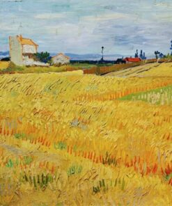 Campo de trigo – Van Gogh Vincent Van Gogh Master Apollon