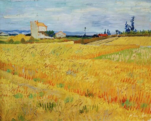 Campo de trigo – Van Gogh Vincent Van Gogh Master Apollon 2