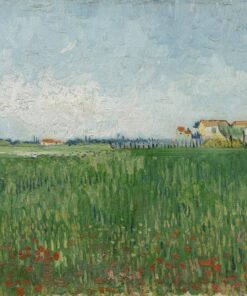 Campo de Papoulas – Van Gogh Vincent Van Gogh Master Apollon