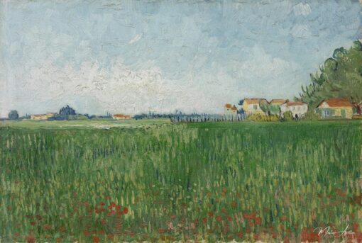 Campo de Papoulas – Van Gogh Vincent Van Gogh Master Apollon