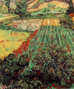 Campos de Papoulas – Van Gogh Vincent Van Gogh Master Apollon