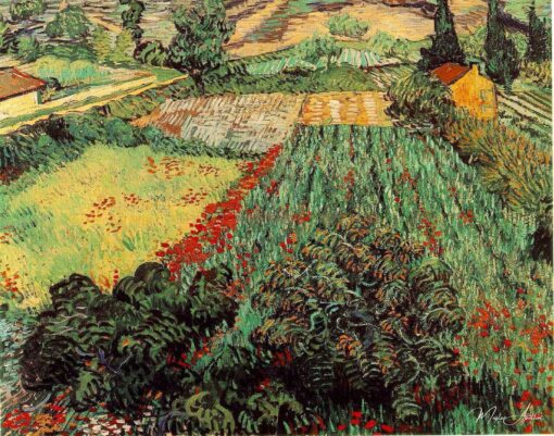 Campos de Papoulas – Van Gogh Vincent Van Gogh Master Apollon