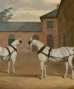 Cavalos de tiro cinzentos no pátio de atrelagem em Putteridge Bury, Hertfordshire – John Frederick Herring Snr John Frederick Herring Sr Master Apollon