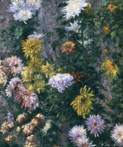 Crisântemos brancos e amarelos – Caillebotte Gustave Caillebotte Master Apollon