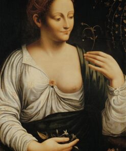 Colombina – Léonard de Vinci Leonardo da Vinci Master Apollon