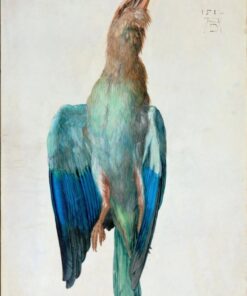 Corvo com capuz – Albrecht Dürer Albrecht Dürer Master Apollon
