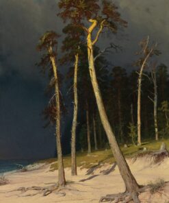 Côte Sablonhosa – Ivan Shishkin Ivan Shishkin Master Apollon