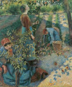 Colheita de Maçãs – Camille Pissarro Camille Pissarro Master Apollon