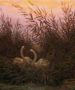 Cisnes nos Juncos – Caspar David Friedrich Caspar David Friedrich Master Apollon