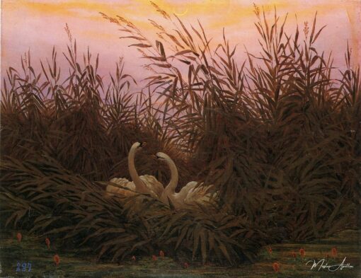 Cisnes nos Juncos – Caspar David Friedrich Caspar David Friedrich Master Apollon