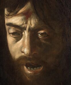 David com a cabeça de Golias, detalhe da cabeça – Caravaggio Caravaggio Master Apollon