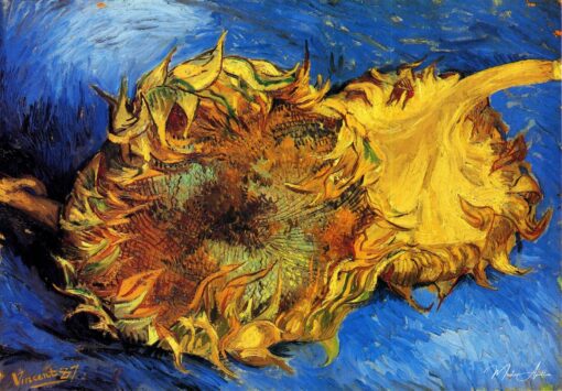 Dois girassóis cortados – Van Gogh Girassóis de Vincent van Gogh Master Apollon 2