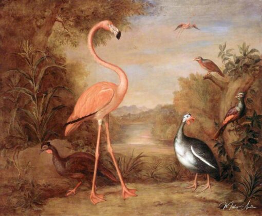 Diferentes tipos de pássaros (com um flamingo rosa) – Tobias Stranover Tobias Stranover Master Apollon