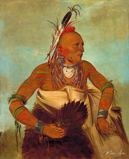 Guerreiro Osage da banda Wha-sha-she (uma subdivisão dos Hunkah) – George Catlin George Catlin Master Apollon 2