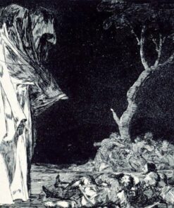 A loucura do medo – Francisco de Goya Francisco de Goya Master Apollon