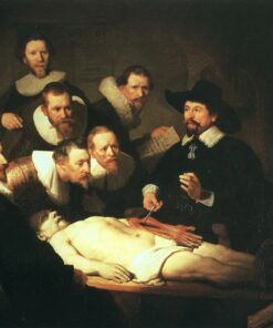 A Lição de Anatomia do Doutor Tulp – Rembrandt van Rijn Rembrandt van Rijn Master Apollon