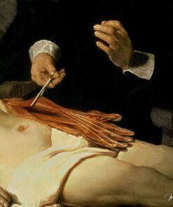 A lição de anatomia do Dr. Nicolaes Tulp, 1632 (detalhe de 7543) de Rembrandt van Rijn Rembrandt van Rijn Master Apollon