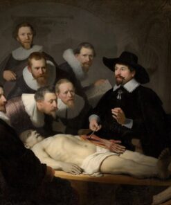 A lição de anatomia do Dr. Nicolaes Tulp, 1632 – Rembrandt van Rijn Rembrandt van Rijn Master Apollon