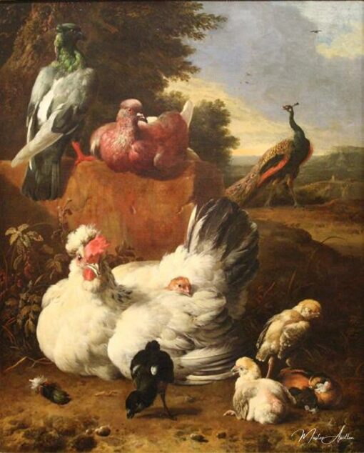 A galinha branca – Melchior d’Hondecoeter Melchior d'Hondecoeter Master Apollon