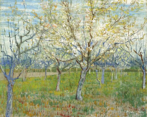 O pomar rosa – Van Gogh Vincent Van Gogh Master Apollon