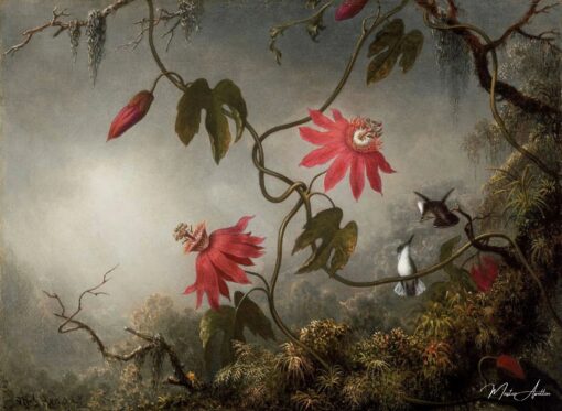 As flores da paixão com os beija-flores – Martin Johnson Heade Martin Johnson Heade Master Apollon