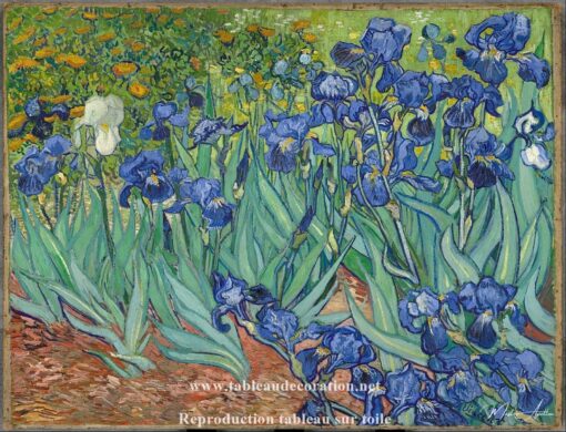 Os Íris – Van Gogh Reprodução de arte popular Master Apollon